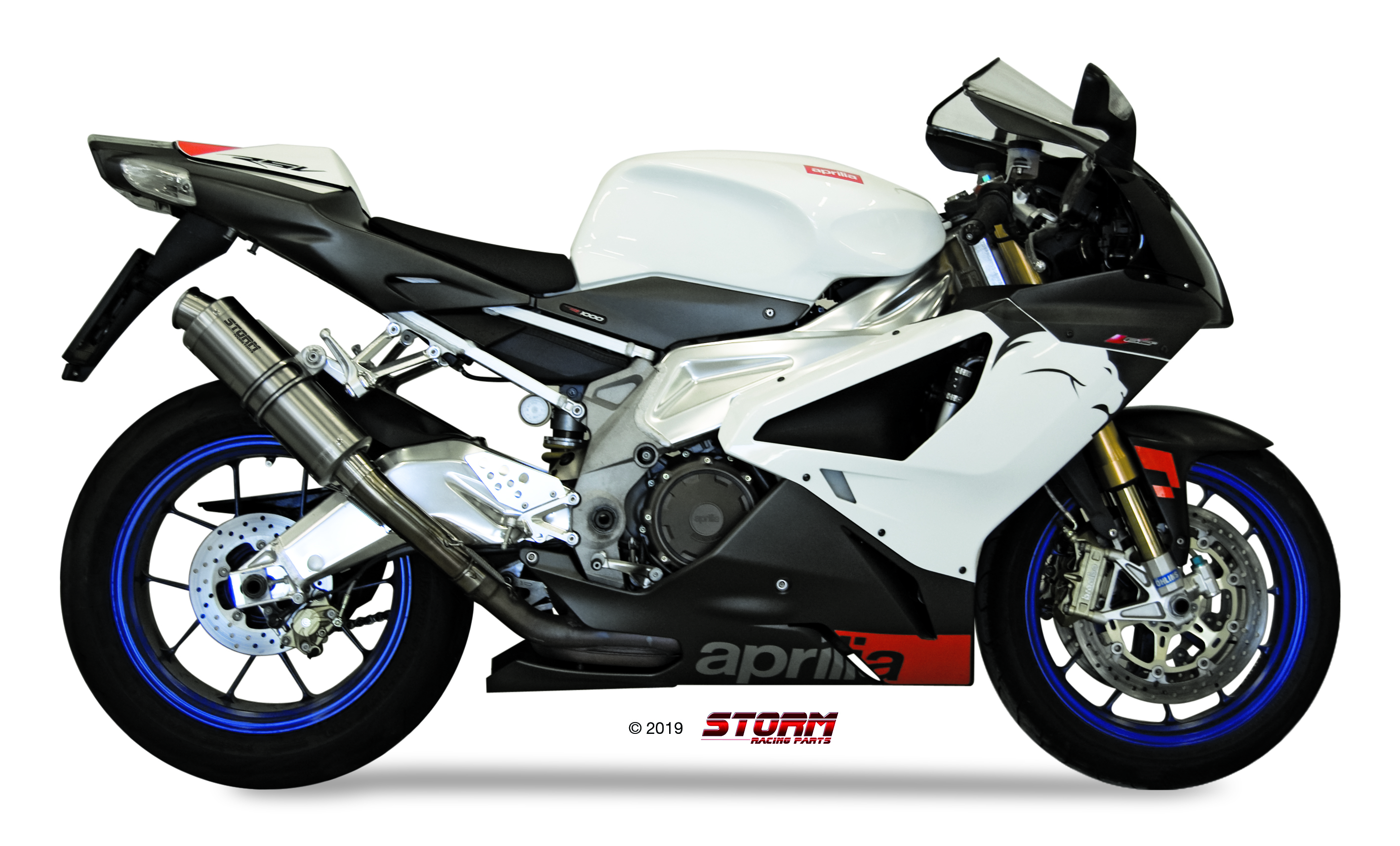 Scarico APRILIA RSV 1000 Storm Gp Inox A.004.LXS